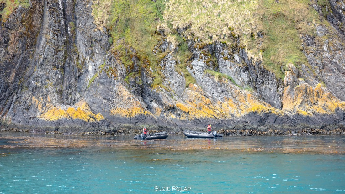 PLA27-25, Day 8, 766A9565 © Susanne Polap - Oceanwide Expeditions.jpg