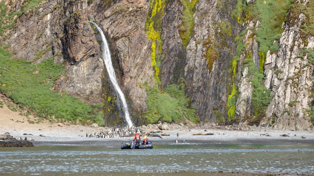 PLA27-25, Day 8, 766A9610 © Susanne Polap - Oceanwide Expeditions.jpg