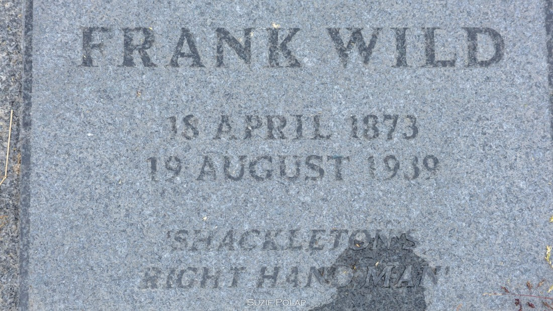 PLA27-25, Day 8, 766A9819 © Susanne Polap - Oceanwide Expeditions.jpg