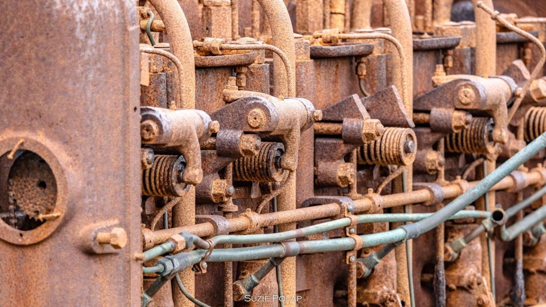 PLA27-25, Day 8, 766A9870 © Susanne Polap - Oceanwide Expeditions.jpg