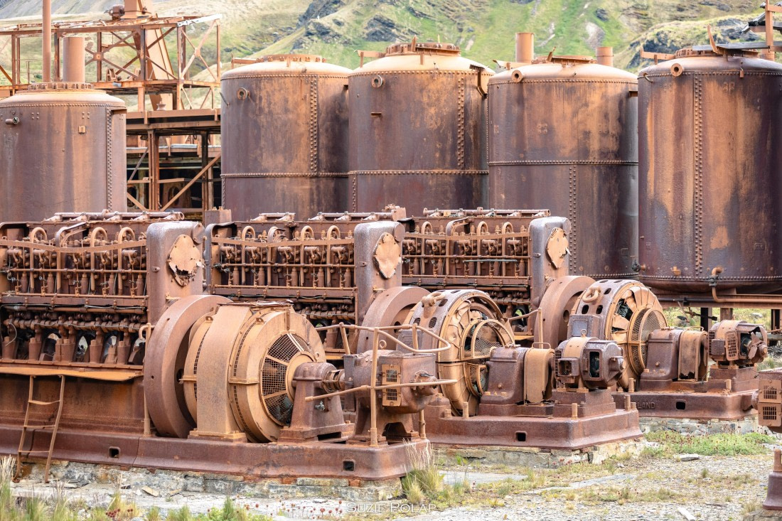 PLA27-25, Day 8, 766A9878 © Susanne Polap - Oceanwide Expeditions.jpg