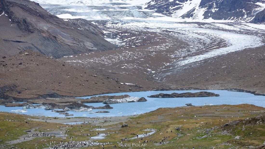 PLA27-25, Day 9, 766A0051 © Susanne Polap - Oceanwide Expeditions.jpg