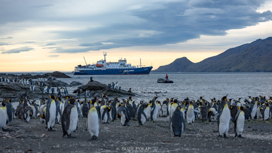 PLA27-25, Day 9, 766A9903 © Susanne Polap - Oceanwide Expeditions.jpg