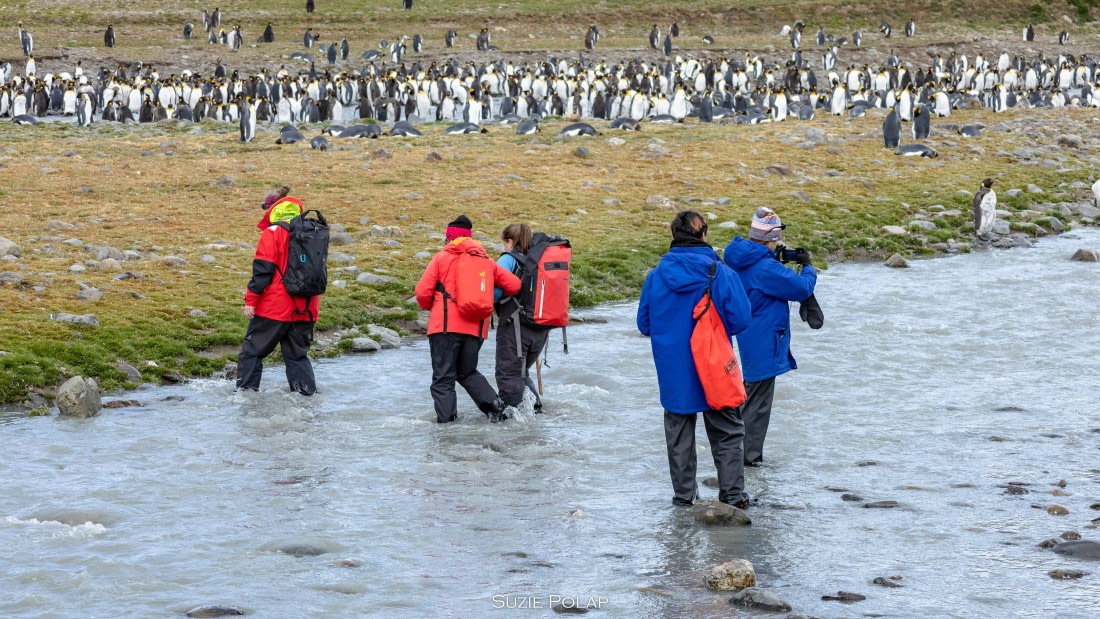PLA27-25, Day 9, 766A9957 © Susanne Polap - Oceanwide Expeditions.jpg