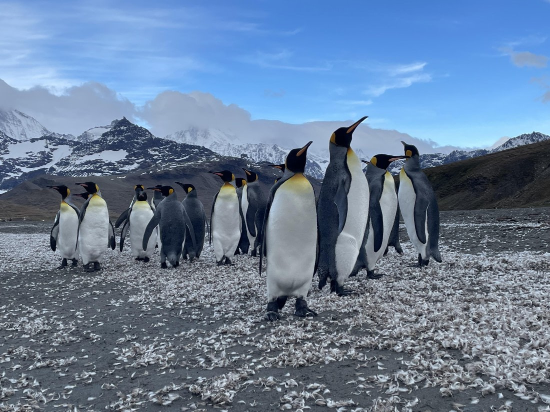 PLA27-25, Day 9, IMG_1360 © Unknown photographer - Oceanwide Expeditions.JPG