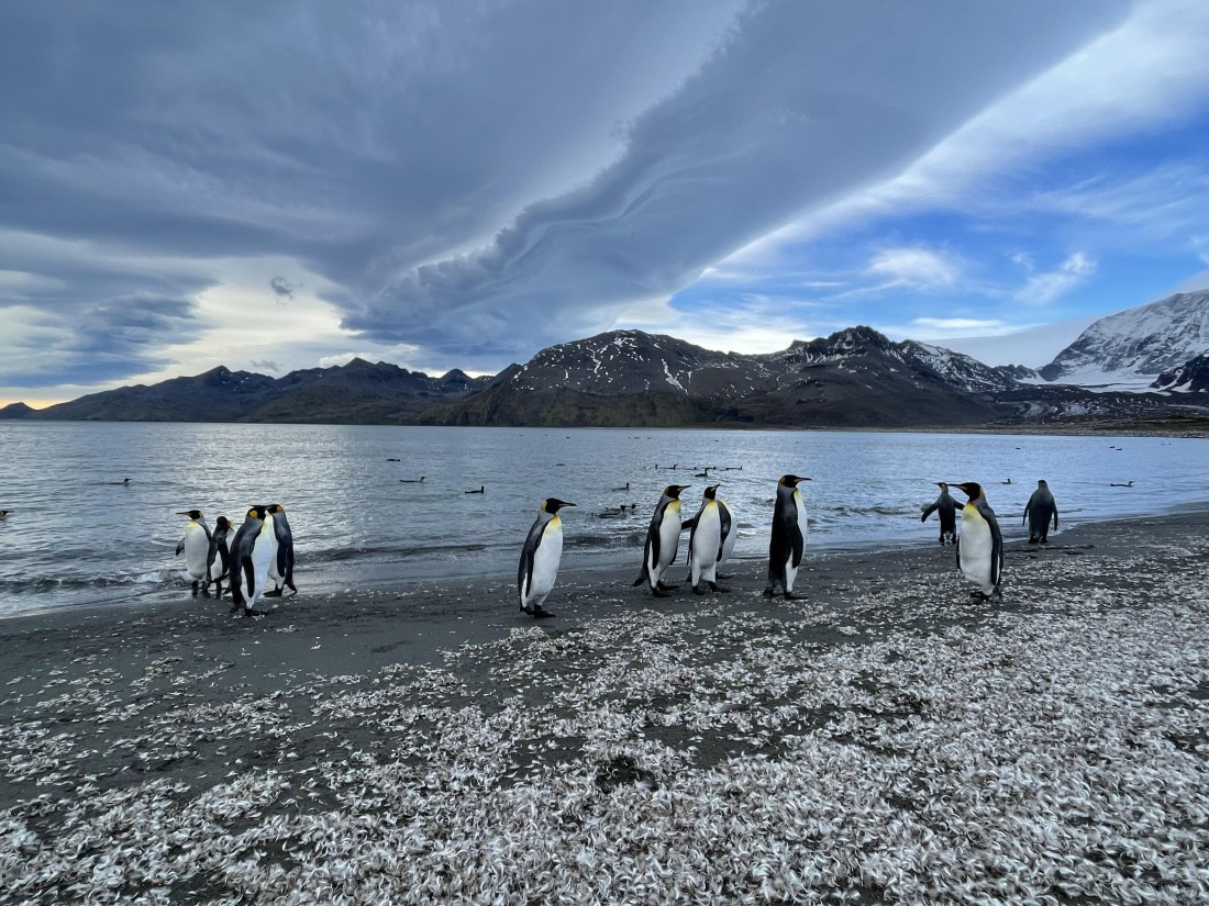 PLA27-25, Day 9, IMG_1384 © Unknown photographer - Oceanwide Expeditions.JPG