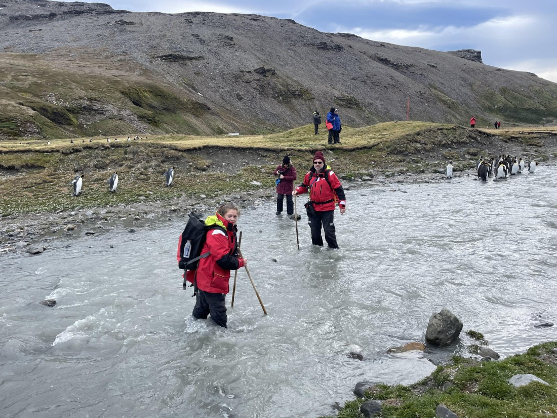 PLA27-25, Day 9, IMG_1430 © Unknown photographer - Oceanwide Expeditions.JPG