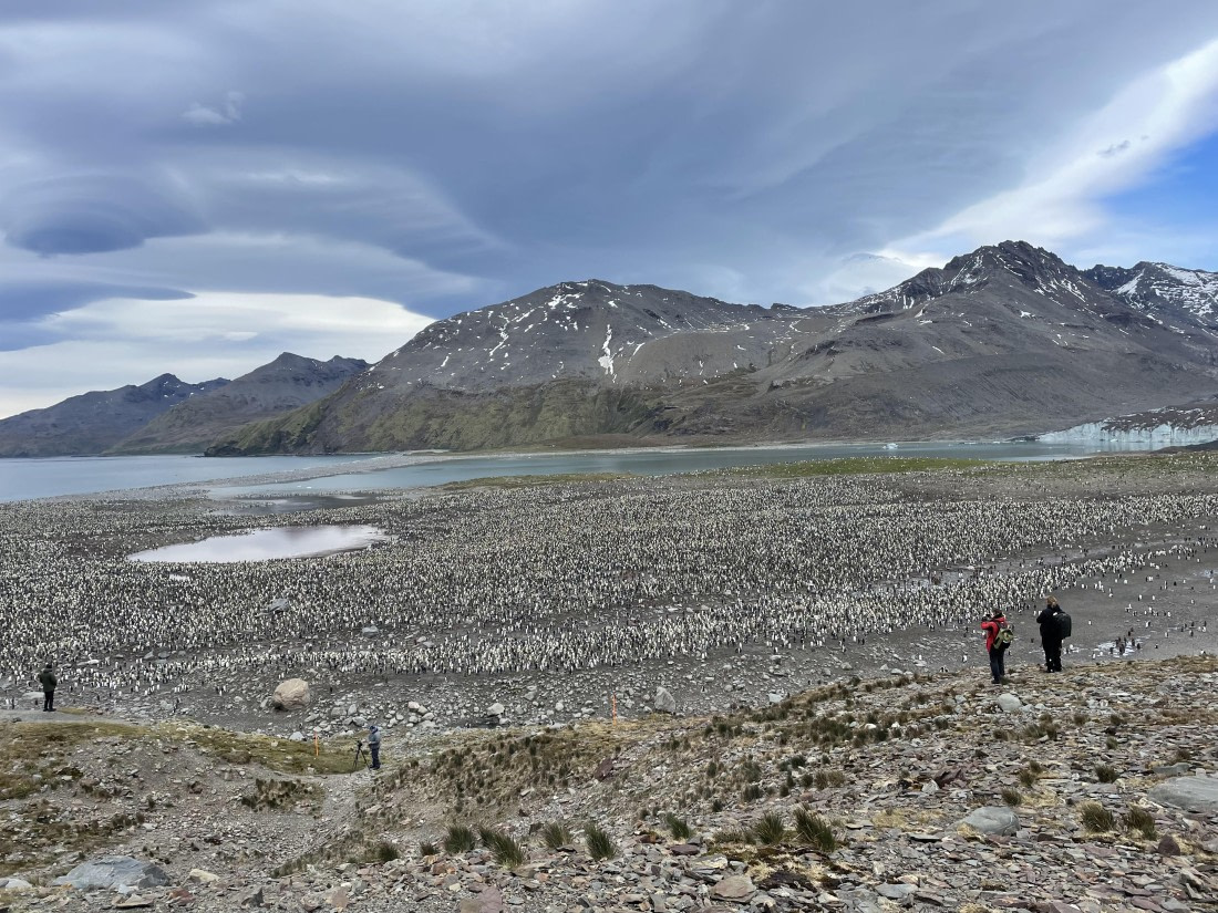 PLA27-25, Day 9, IMG_1490 © Unknown photographer - Oceanwide Expeditions.JPG