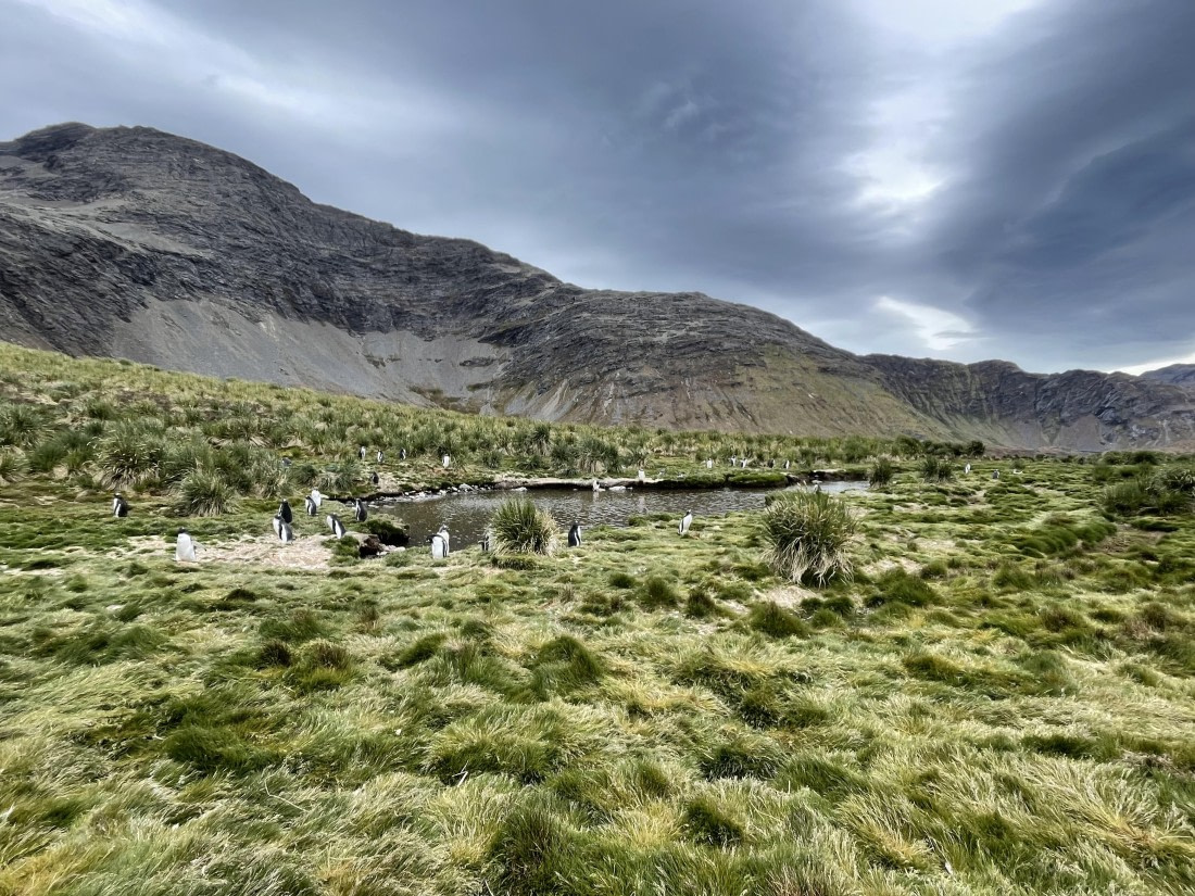 PLA27-25, Day 9, IMG_1640 © Unknown photographer - Oceanwide Expeditions.JPG