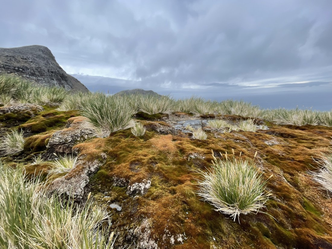 PLA27-25, Day 9, IMG_1681 © Unknown photographer - Oceanwide Expeditions.JPG