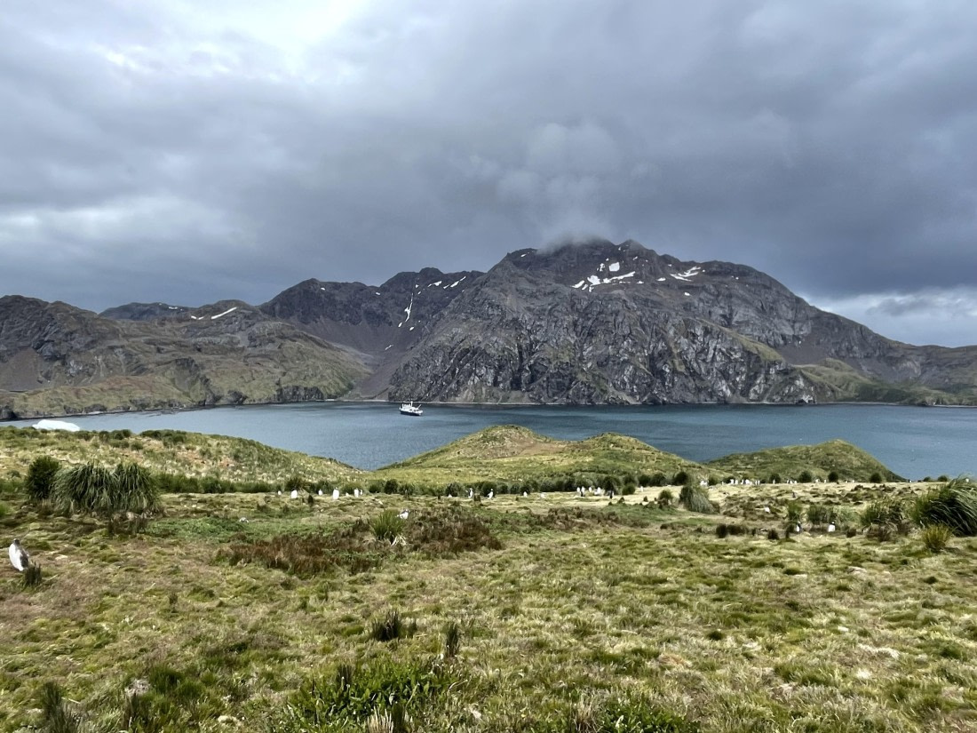 PLA27-25, Day 9, IMG_1735 © Unknown photographer - Oceanwide Expeditions.JPG