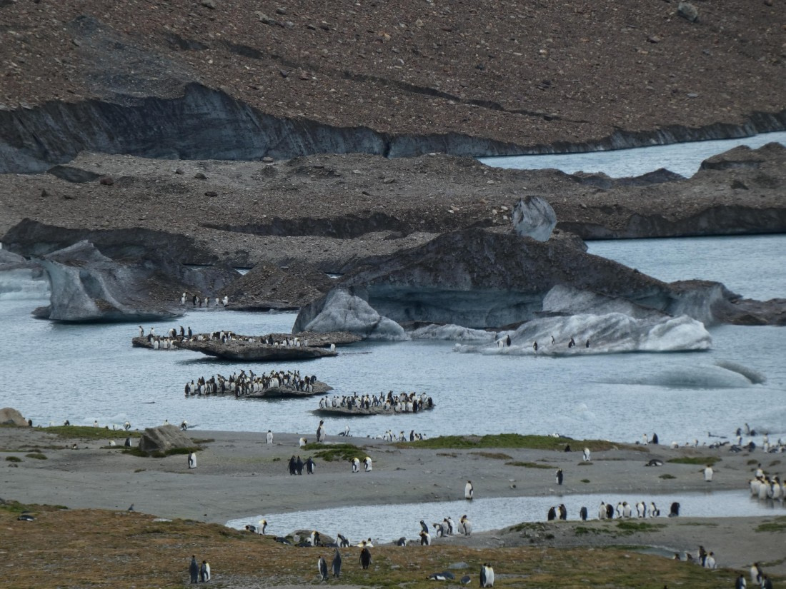 PLA27-25, Day 9, P1170662 © Unknown photographer - Oceanwide Expeditions.JPG