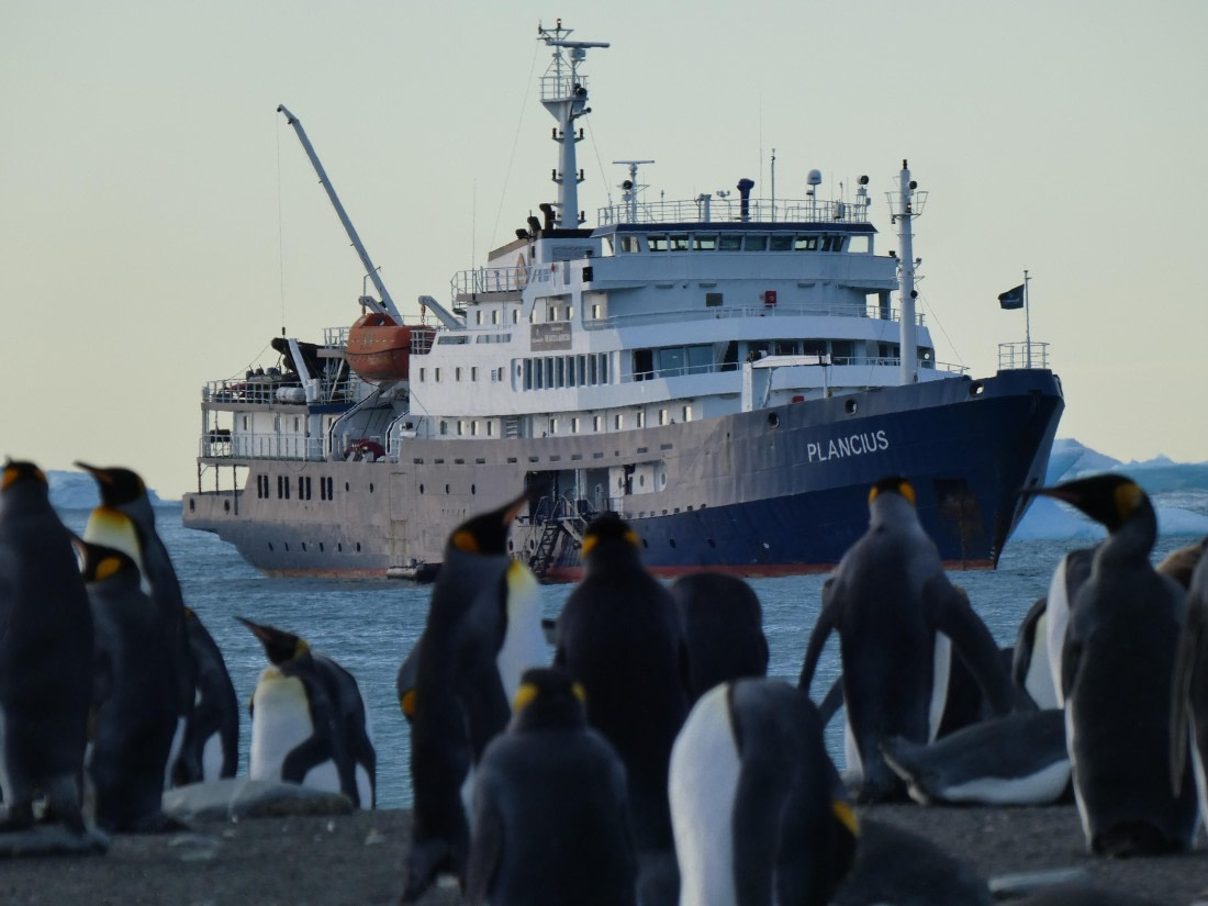PLA27-25, Day 10, P1170776 © Unknown photographer - Oceanwide Expeditions.JPG