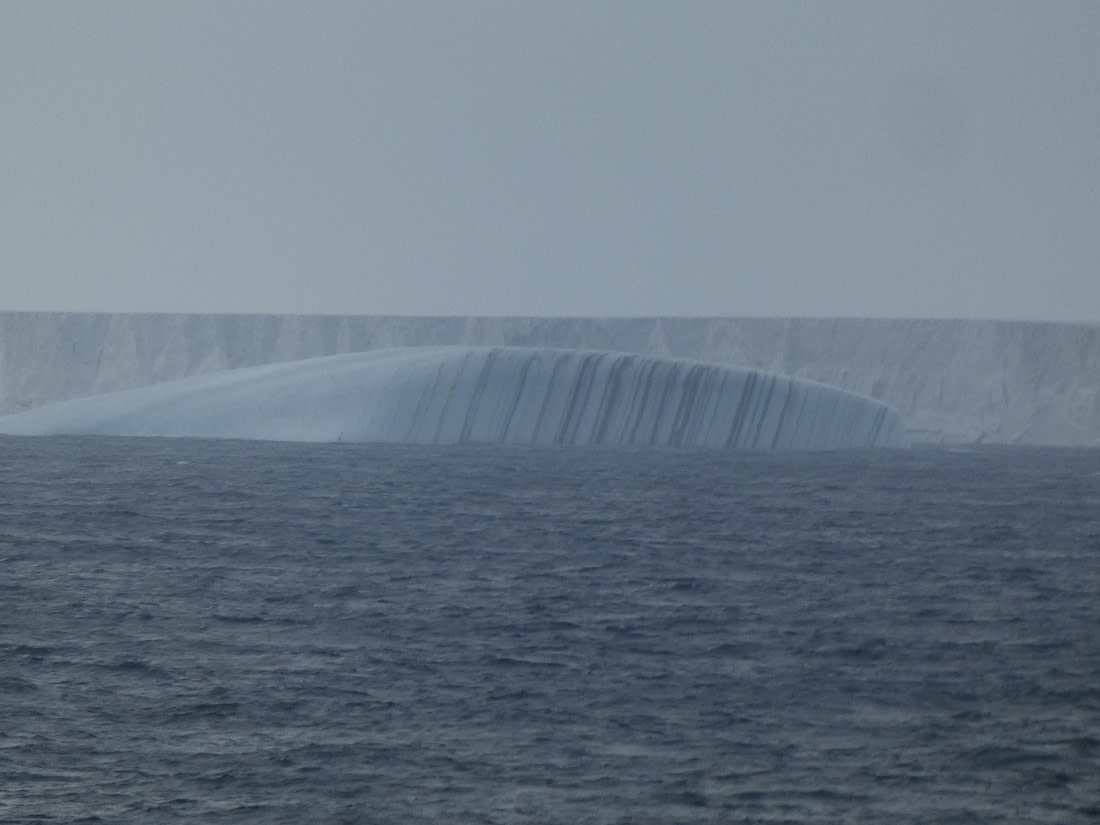 PLA27-25, Day 11, P1170885 © Unknown photographer - Oceanwide Expeditions.JPG