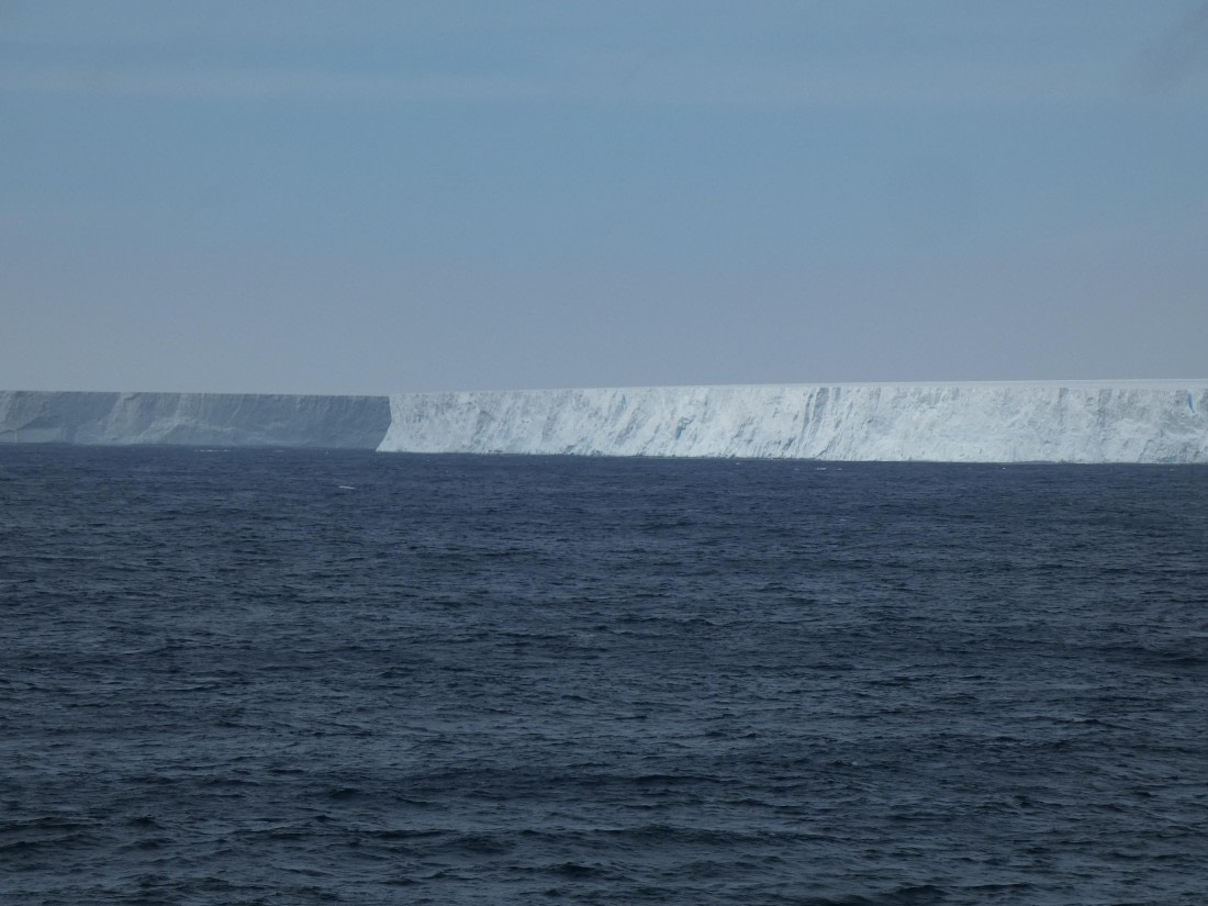 PLA27-25, Day 11, P1170899 © Unknown photographer - Oceanwide Expeditions.JPG