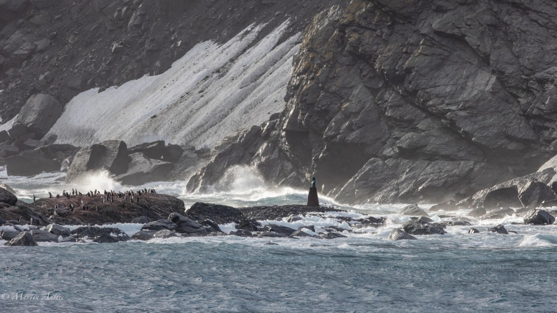 PLA27-25, Day 13, 088A6691 © Martin Anstee - Oceanwide Expeditions.jpg