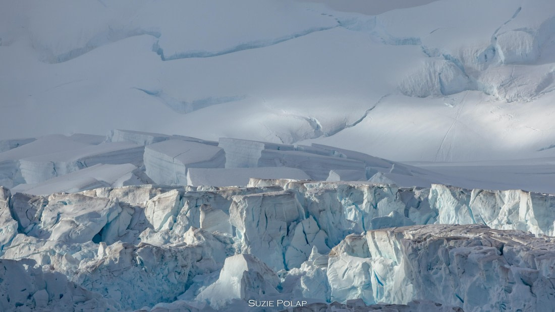 PLA27-25, Day 13, 766A0614 © Susanne Polap - Oceanwide Expeditions.jpg