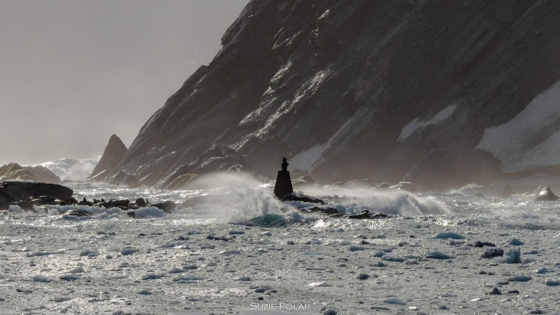 PLA27-25, Day 13, 766A0653 © Susanne Polap - Oceanwide Expeditions.jpg