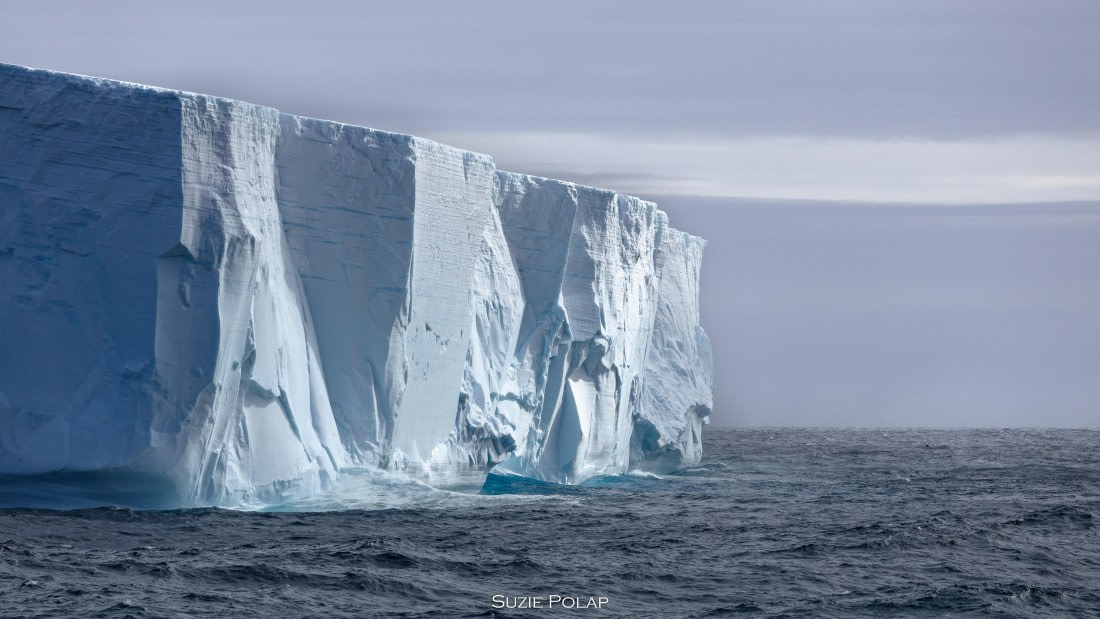 PLA27-25, Day 13, 766A0712 © Susanne Polap - Oceanwide Expeditions.jpg