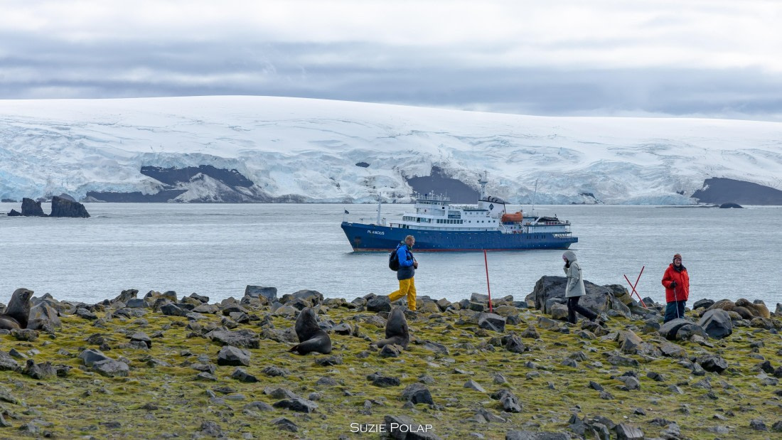 PLA27-25, Day 14, 766A1539 © Susanne Polap - Oceanwide Expeditions.jpg