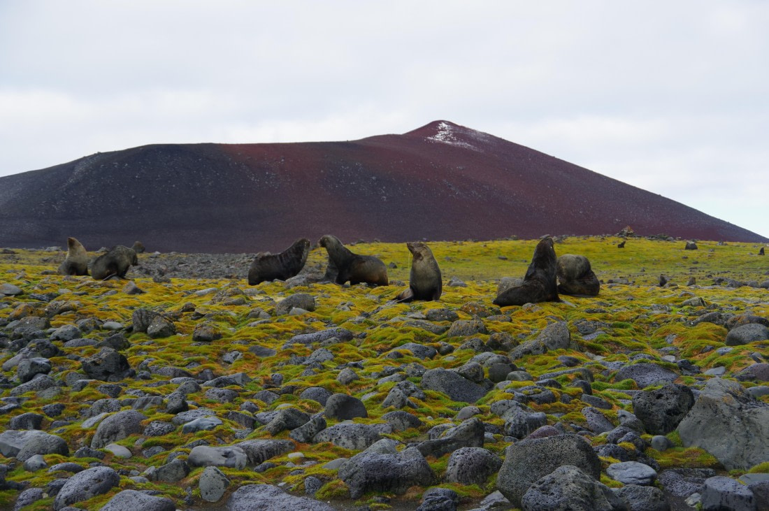 PLA27-25, Day 14, IMGP2742 © Unknown photographer - Oceanwide Expeditions.JPG