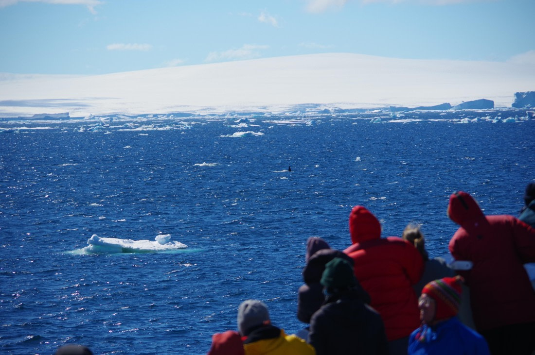 PLA27-25, Day 15, IMGP2924 © Unknown photographer - Oceanwide Expeditions.JPG