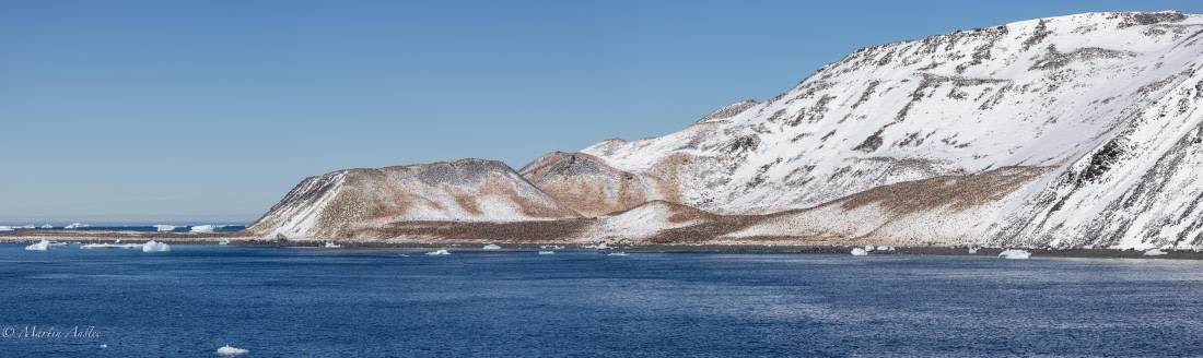 PLA27-25, Day 15, 088A7370 © Martin Anstee - Oceanwide Expeditions.jpg