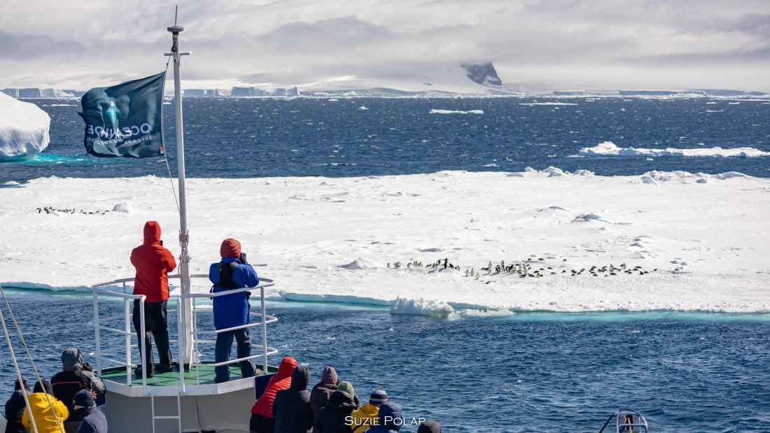 PLA27-25, Day 15, 766A2041 © Susanne Polap - Oceanwide Expeditions.jpg