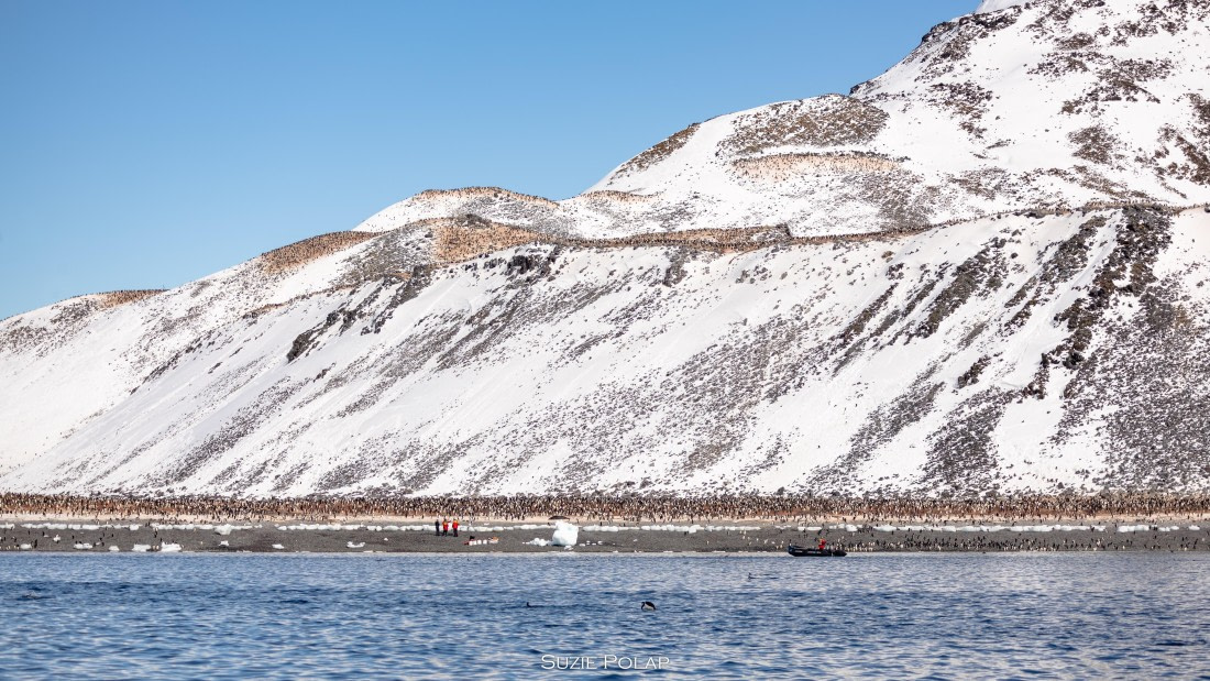 PLA27-25, Day 15, 766A2086 © Susanne Polap - Oceanwide Expeditions.jpg