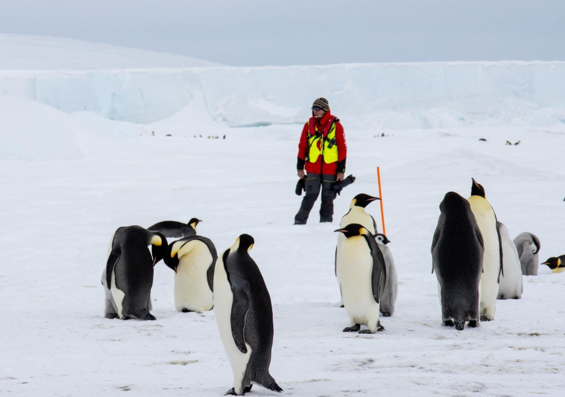 Snow Hill Island, Antarctica, Weddell Sea, IMG_5231 © Alexandra den Dikken © Oceanwide Expeditions