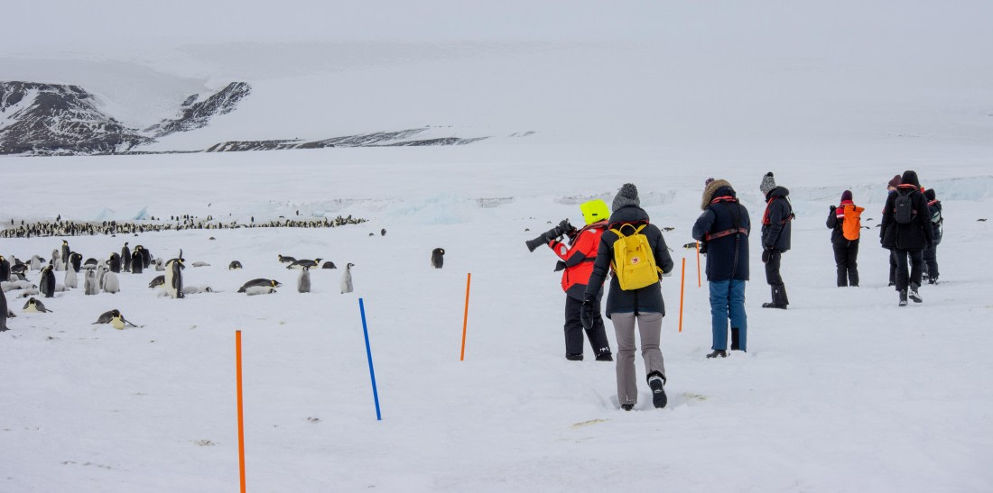 Snow Hill Island, Antarctica, Weddell Sea, IMG_5243 © Alexandra den Dikken - Oceanwide Expeditions