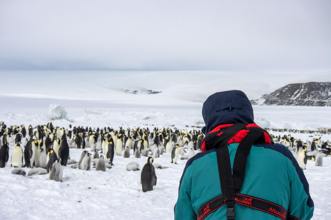 Snow Hill Island, Antarctica, Weddell Sea, IMG_5659 © Alexandra den Dikken - Oceanwide Expeditions