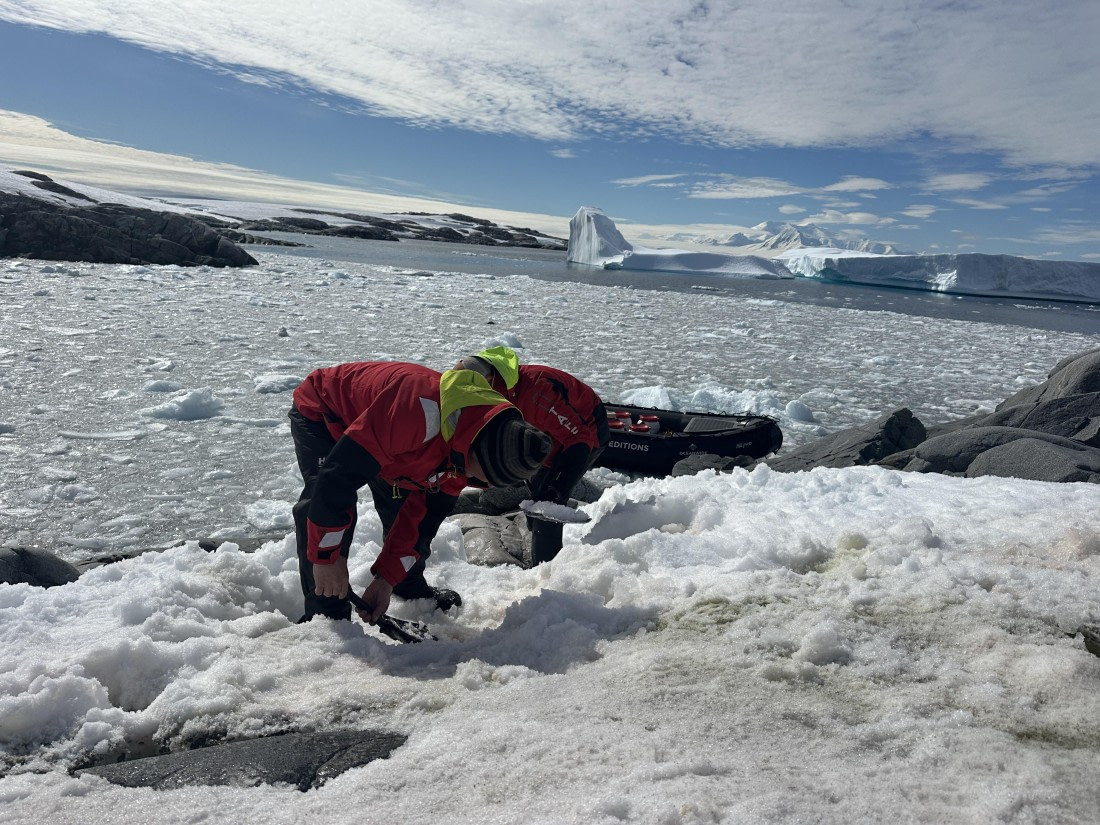 OTL29-25, Day 4, 808198822325ba4d0d2255b0bf0ee942 © Unknown photographer - Oceanwide Expeditions.jpg