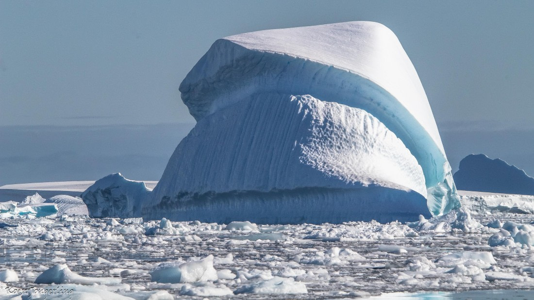 OTL29-25, Day 4, IMG_7603 © Koen Jongerling - Oceanwide Expeditions.jpg