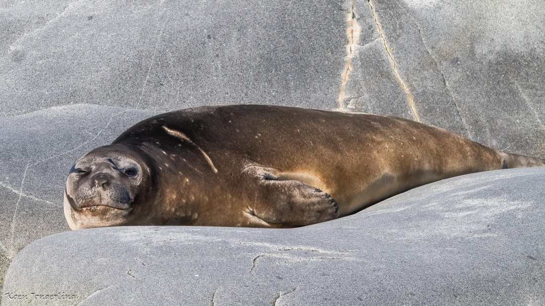 OTL29-25, Day 4, IMG_7610 © Koen Jongerling - Oceanwide Expeditions.jpg