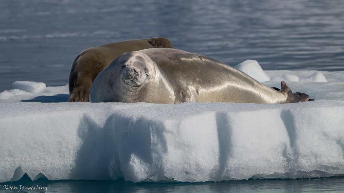 OTL29-25, Day 4, IMG_7660 © Koen Jongerling - Oceanwide Expeditions.jpg