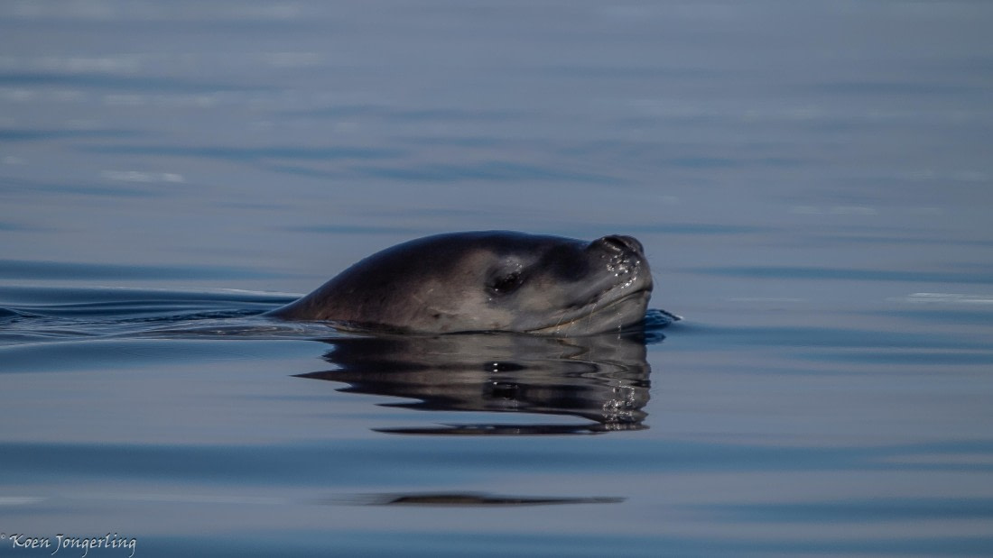 OTL29-25, Day 4, IMG_7674 © Koen Jongerling - Oceanwide Expeditions.jpg