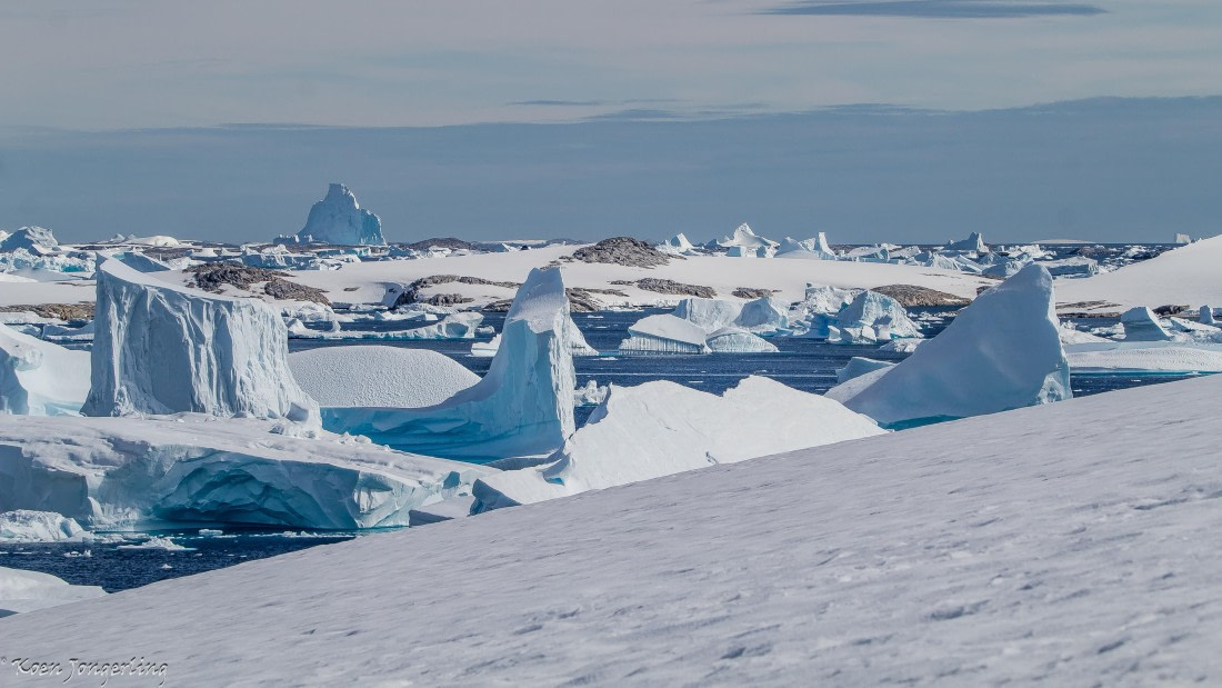 OTL29-25, Day 4, IMG_7728 © Koen Jongerling - Oceanwide Expeditions.jpg