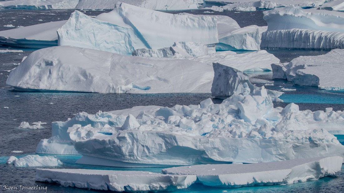 OTL29-25, Day 4, IMG_7729 © Koen Jongerling - Oceanwide Expeditions.jpg