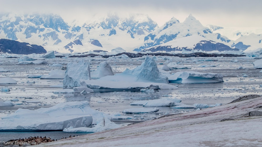 OTL29-25, Day 5, IMG_7854 © Koen Jongerling - Oceanwide Expeditions.jpg