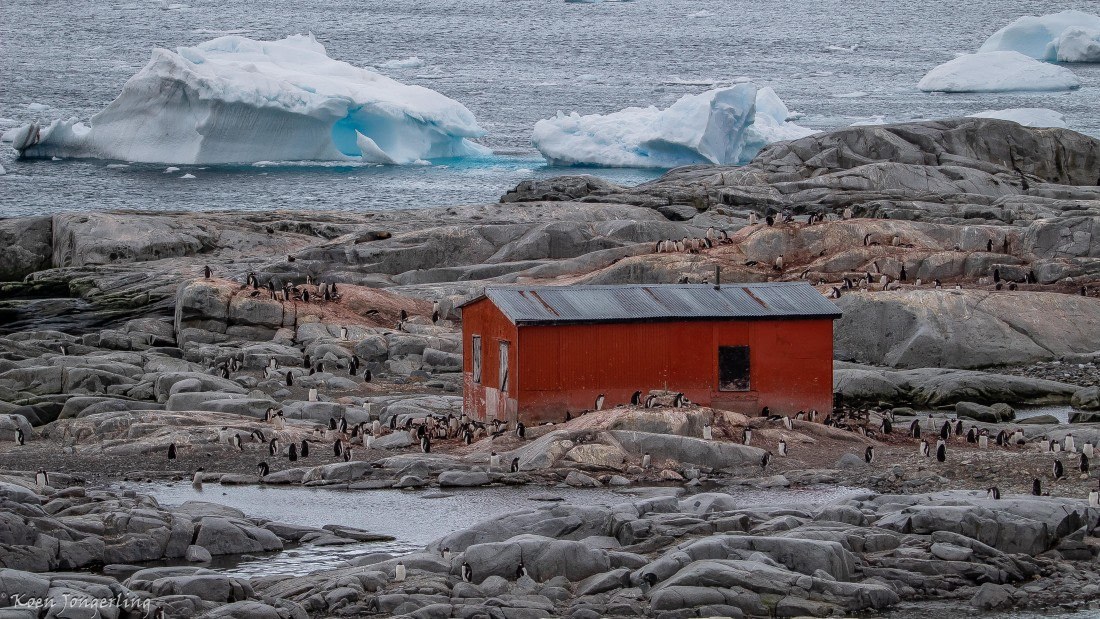 OTL29-25, Day 5, IMG_7873 © Koen Jongerling - Oceanwide Expeditions.jpg