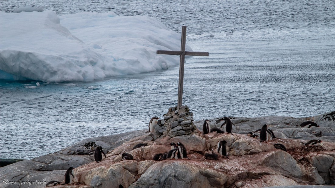 OTL29-25, Day 5, IMG_7875 © Koen Jongerling - Oceanwide Expeditions.jpg