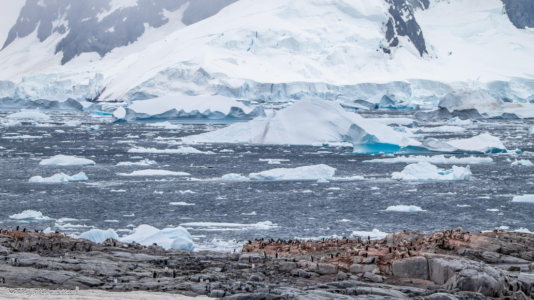 OTL29-25, Day 5, IMG_7877 © Koen Jongerling - Oceanwide Expeditions.jpg