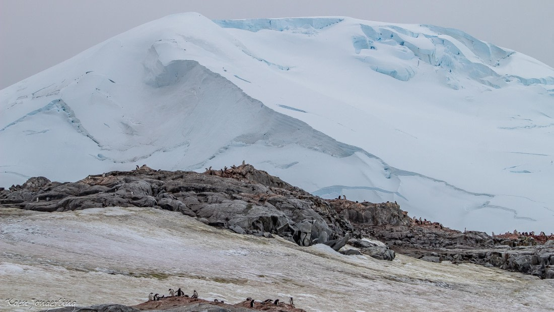 OTL29-25, Day 5, IMG_7885 © Koen Jongerling - Oceanwide Expeditions.jpg