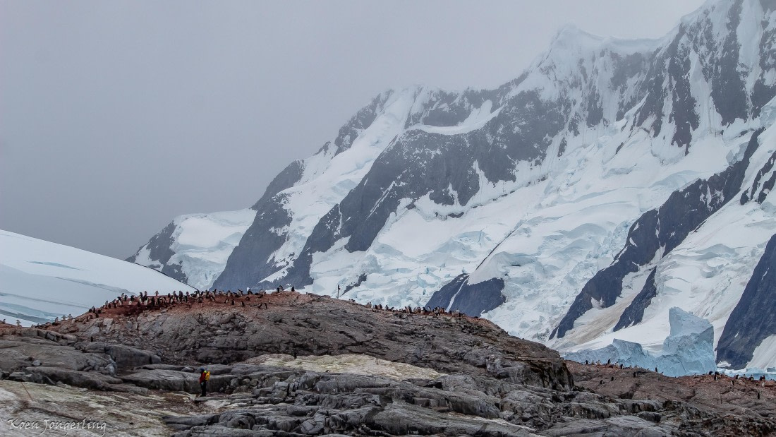 OTL29-25, Day 5, IMG_7886 © Koen Jongerling - Oceanwide Expeditions.jpg