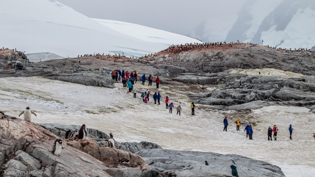 OTL29-25, Day 5, IMG_7897 © Koen Jongerling - Oceanwide Expeditions.jpg