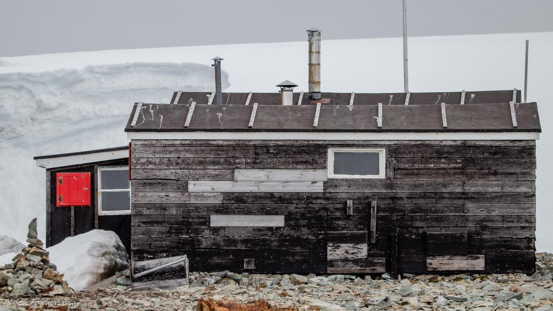 OTL29-25, Day 5, IMG_7969 © Koen Jongerling - Oceanwide Expeditions.jpg