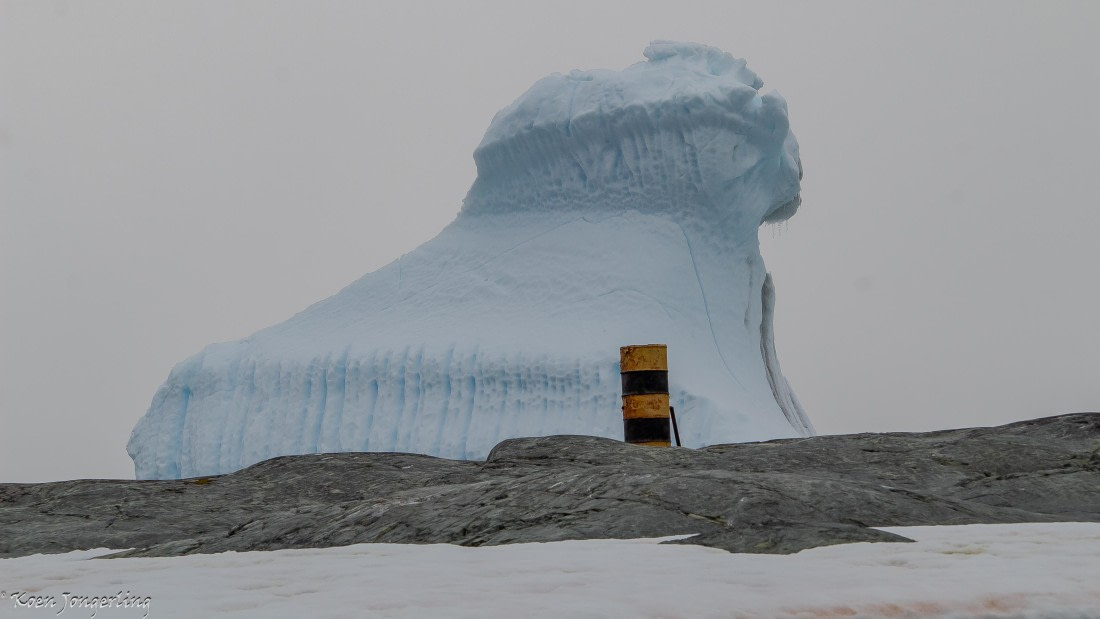 OTL29-25, Day 5, IMG_7974 © Koen Jongerling - Oceanwide Expeditions.jpg