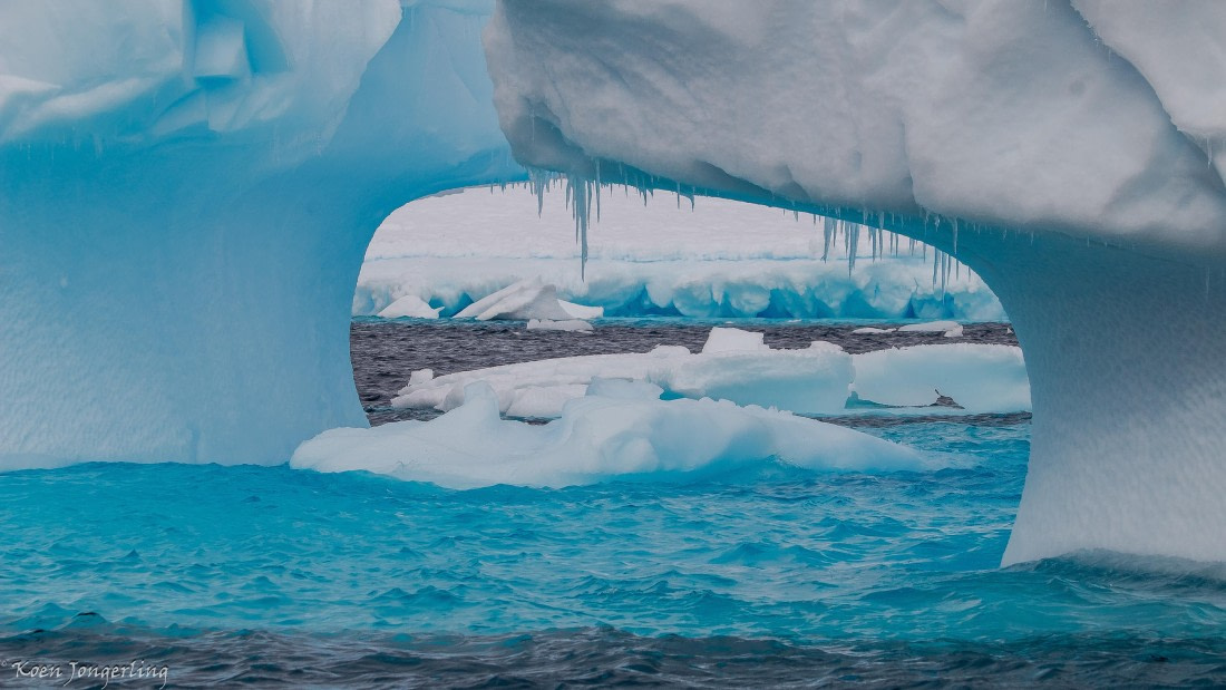 OTL29-25, Day 5, IMG_8003 © Koen Jongerling - Oceanwide Expeditions.jpg