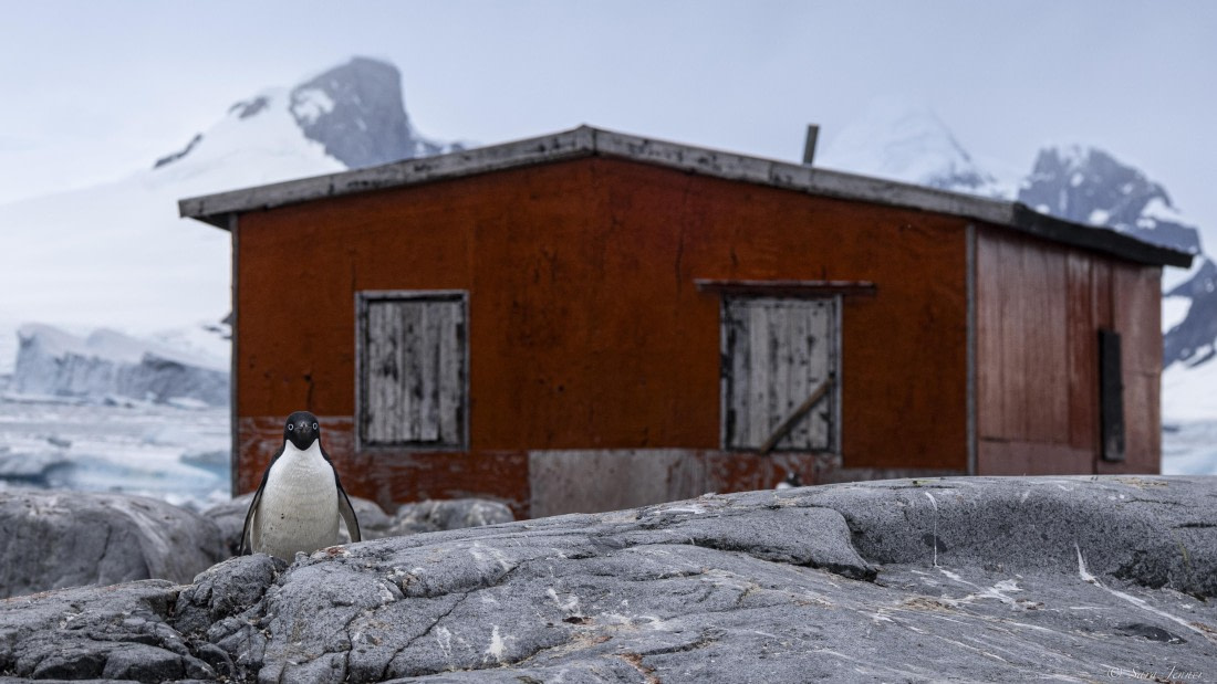 OTL29-25, Day 5, Petermann Island hut and adelie © Sara Jenner - Oceanwide Expeditions.jpg